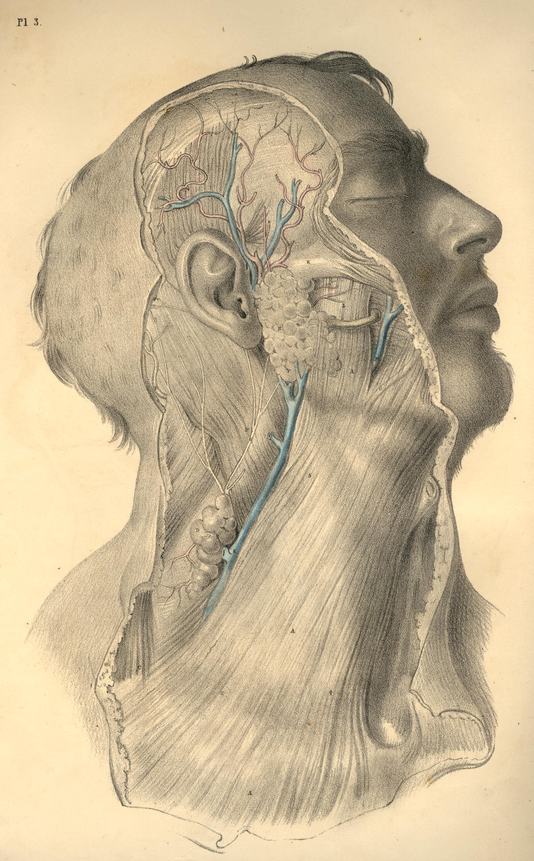 Illustration: