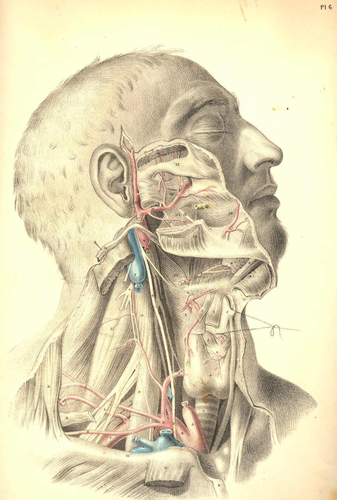 Illustration: