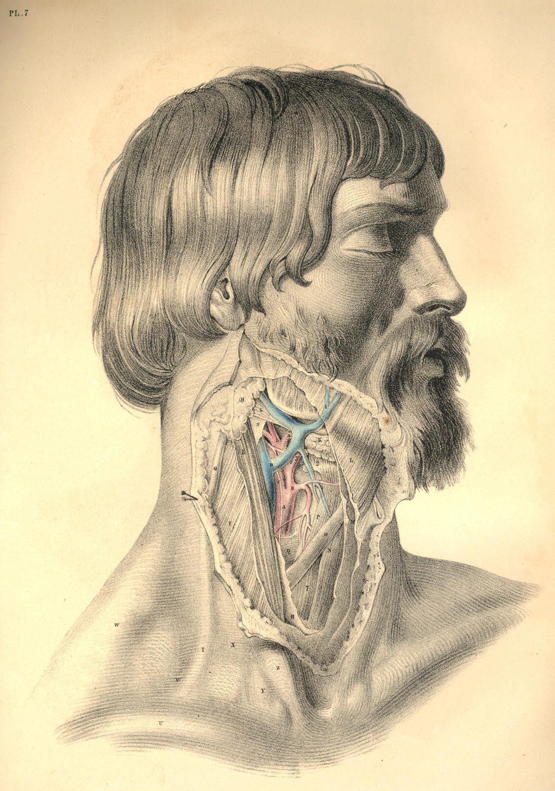 Illustration: