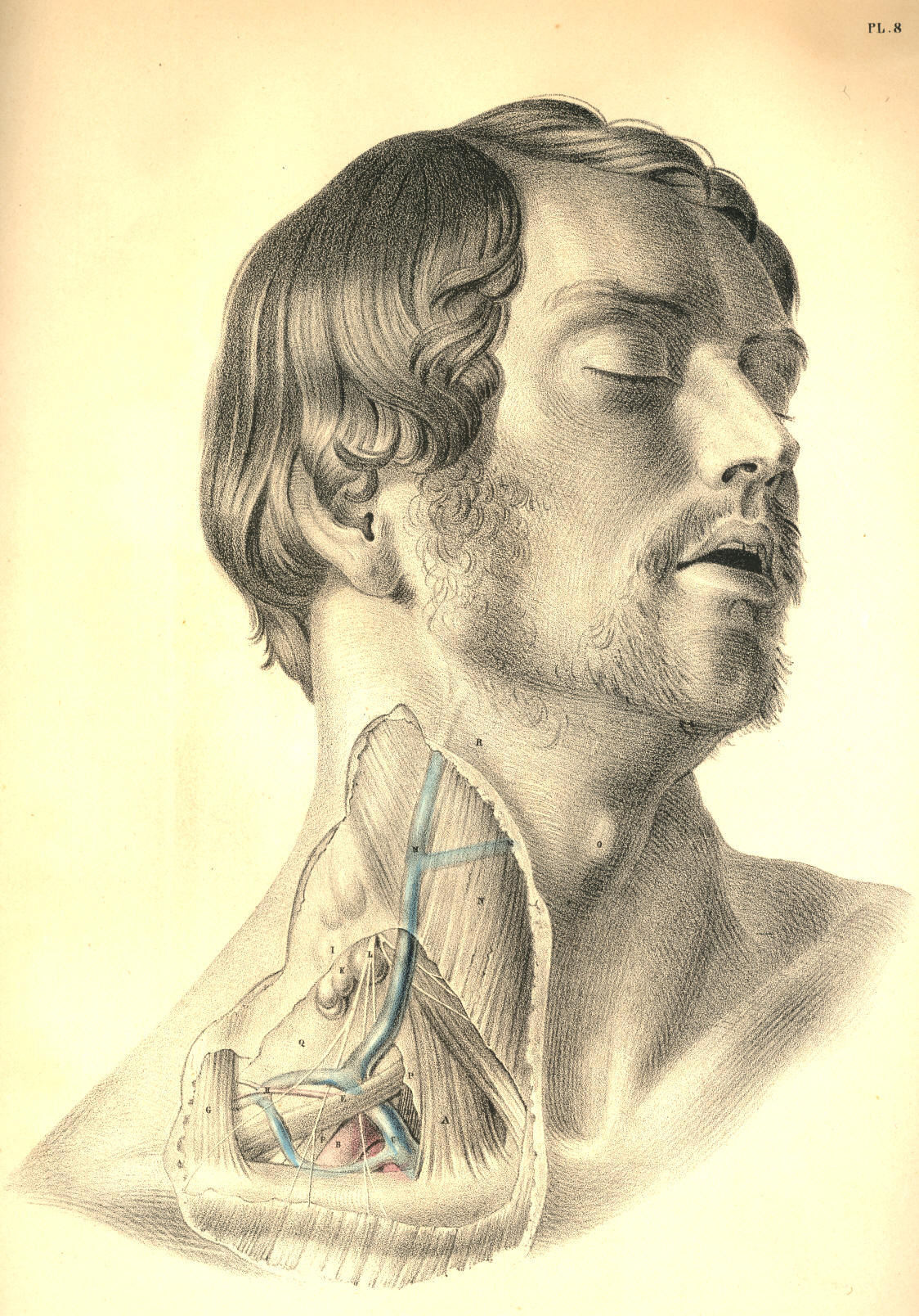 Illustration: