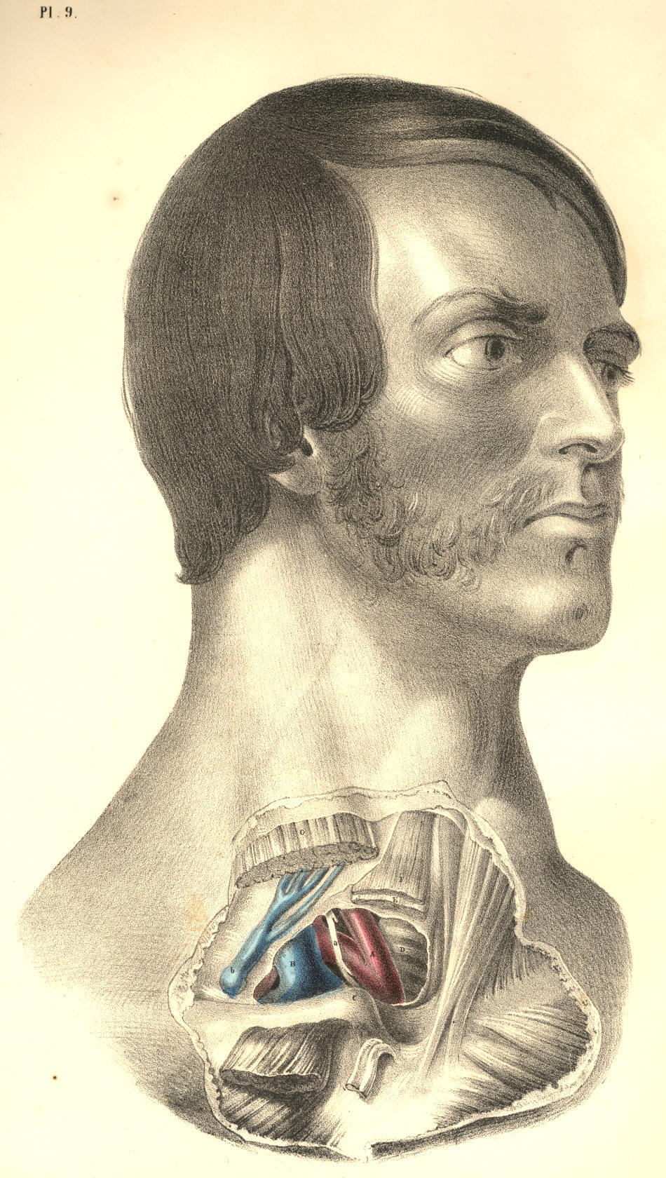 Illustration: