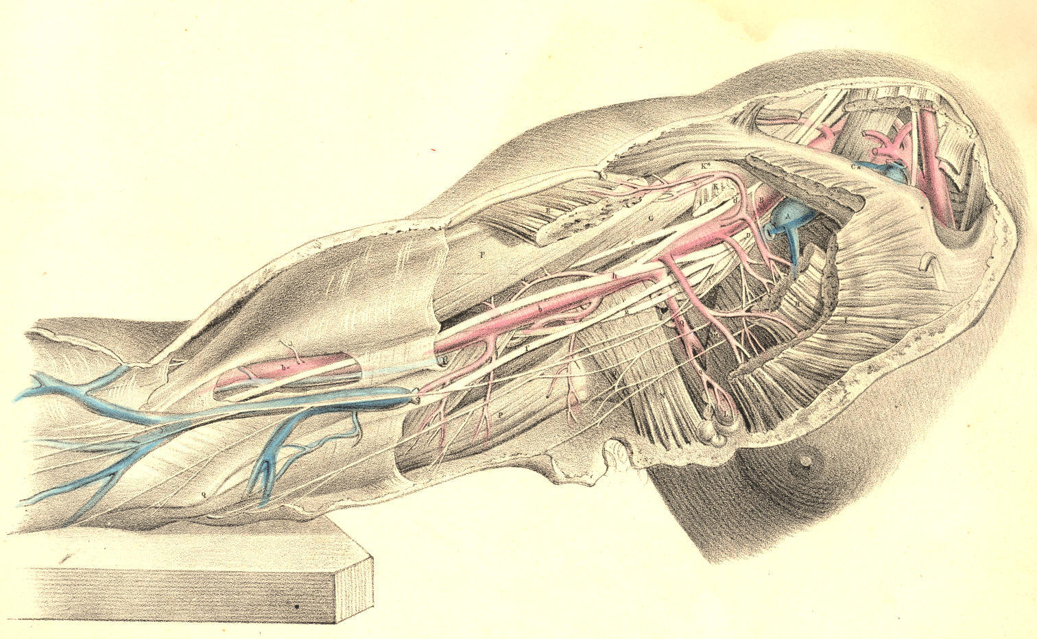 Illustration: