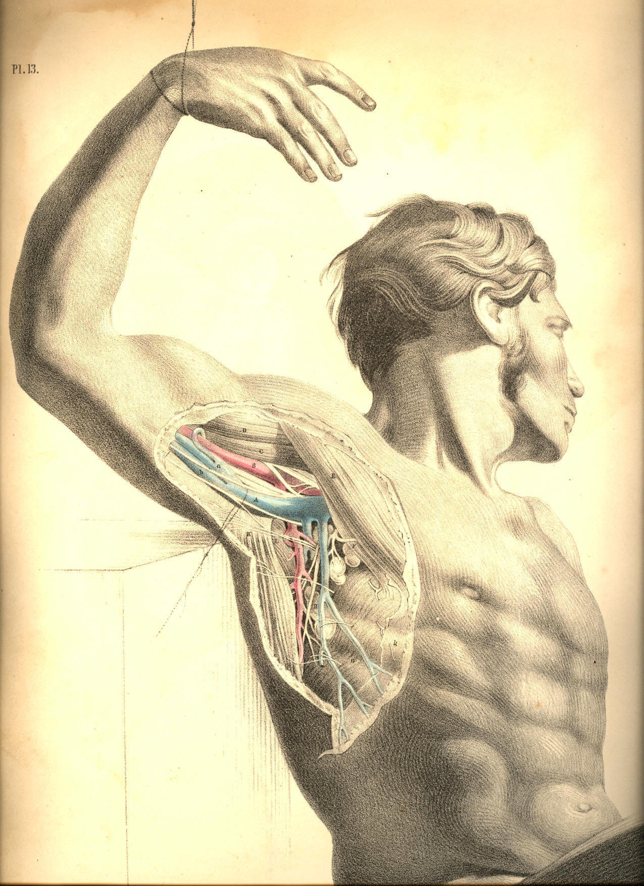 Illustration:
