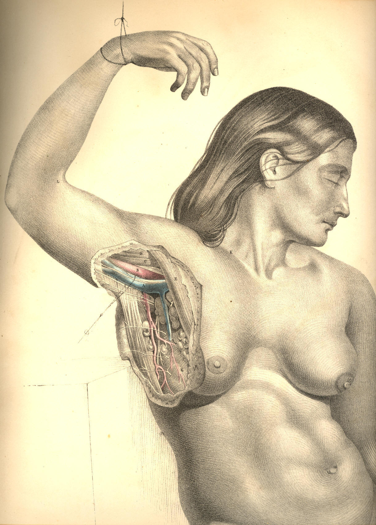 Illustration: