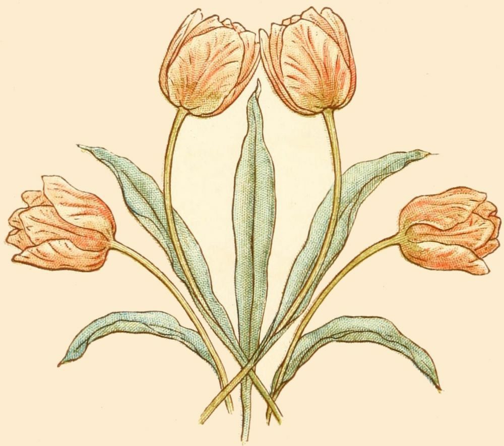 image not available