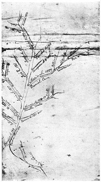 Family tree made by Rizal when in Dapitan.